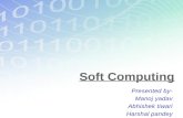 soft computing manoj