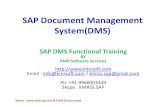 SAP Document Management System(DMS)-PLM 120