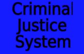 Criminal Justice System - Laura Morgan