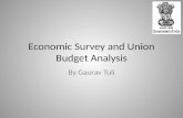 Union budget analysis