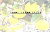 Árboles Frutales