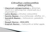 Ayurvedic Pharmacology of Citrullus colocynthis & its Pharmacognocy