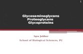 Glycosaminoglycans, Proteoglycans and Glycoproteins