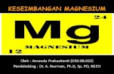 111499260 magnesium