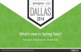 What's new in spring data