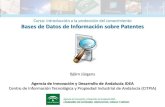 Bases de datos de informacion sobre patentes