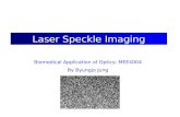 Laser Speckle Imaging Biomedical Application of Optics: MEE4004