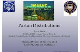 Parton Distributions and Standard Model Physics at the LHC