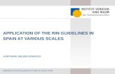 APPLICATION OF THE RIN GUIDELINES IN SPAIN AT VARIOUS SCALES