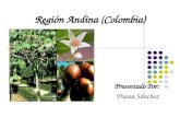 Región andina (colombia)