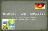 Bio Fuel Industry Analysis