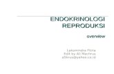 endokrinologi reproduksi overview