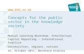 Concepts for the Public Sector in the Knowledge Society