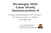 Strategia SEO: Case Study Ilmanicaretto.it
