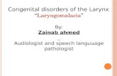 Laryngomalacia BY ZAINAB AHMED