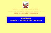 Tutoraa y-orientac-educativa-para-docentes-2010[1][1]