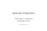 Aparato Digestivo y sus Cortes Histologicos Digestivo  I I  U V S: De: José Romero Profesor.