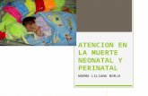 Atención en la Muerte Perinatal y Neonatal