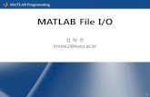 Lec 12. MATLAB File I/O