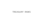 Treasury risks