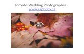 Toronto Wedding Photographer  -