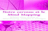 Ebook mind-mapping-et-cerveau-individuel