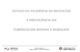 Estudo da Incidência de Brucelose e Prevalência da Tuberculose Bovina e Bubalina