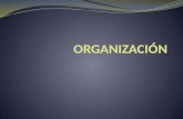 Tema Organización