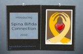 Media Kit For Spina Bifida Connection