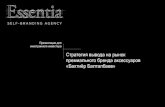 Essentia | Пример: презентация стратегии для иностранного инвестора | Бренд «Бахтиер Балталбаев», художник