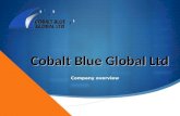 Cbgl company overview1
