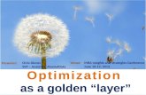 Optimization as a Golden Layer - Chris Diener, SVP Analytics, Absolutdata