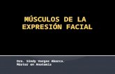 Músculos de la expresión facial.