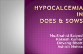 Hypocalcemia ppt