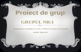 Proiect de grup.p
