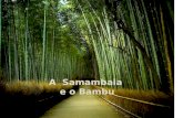 A samambaia e_o_bambu