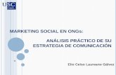 Presentación tesina mk social en ongs