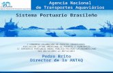Pedro Brito - Sistema Portuario Brasileño
