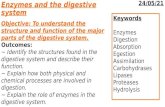 AS-U1-2.1-Enzymes and the digestive system