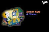Excel tips advance