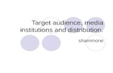 Target audience, media institutions and distribution