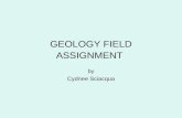 Geology Lab/Field Assignment
