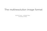 The multiresolution image format