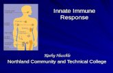 Innate Immune Response on line.ppt