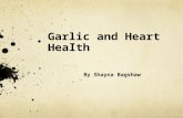 Heart Health Benefits of Garlic