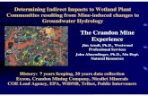 Mining Impacts and Wetlands_Crandon_Experience