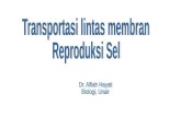 Matrikulasi transport membran dan reproduksi sel