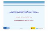 Líneas de ayuda para proyectos en Colaboración entre Empresas y Centros (Luis Maeso, CDTI)