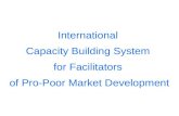 International Capacity Building System for pro-poor market development facilitators,rev3