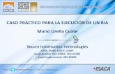 Latin CACS 2013 - Caso práctico para la ejecución de un análisis de impacto al negocio (BIA)